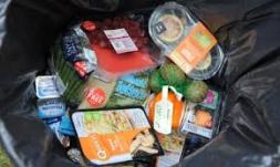 food in bin at home